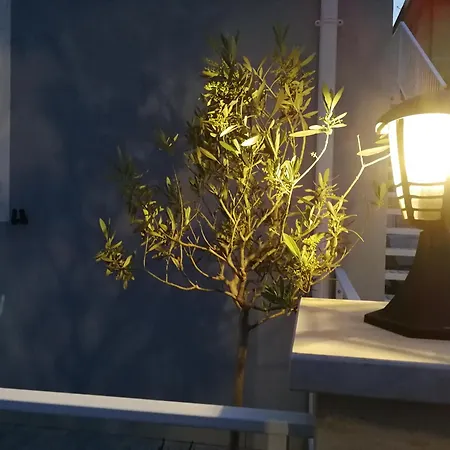 Bed & Breakfast Alcivico3 Civitanova Marche